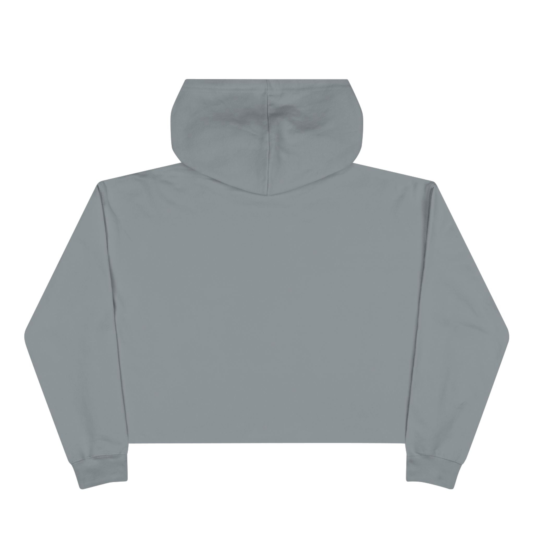 Follow Dirty Money Crop Hoodie